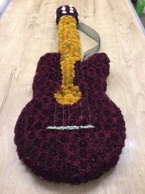 Electric Guitar